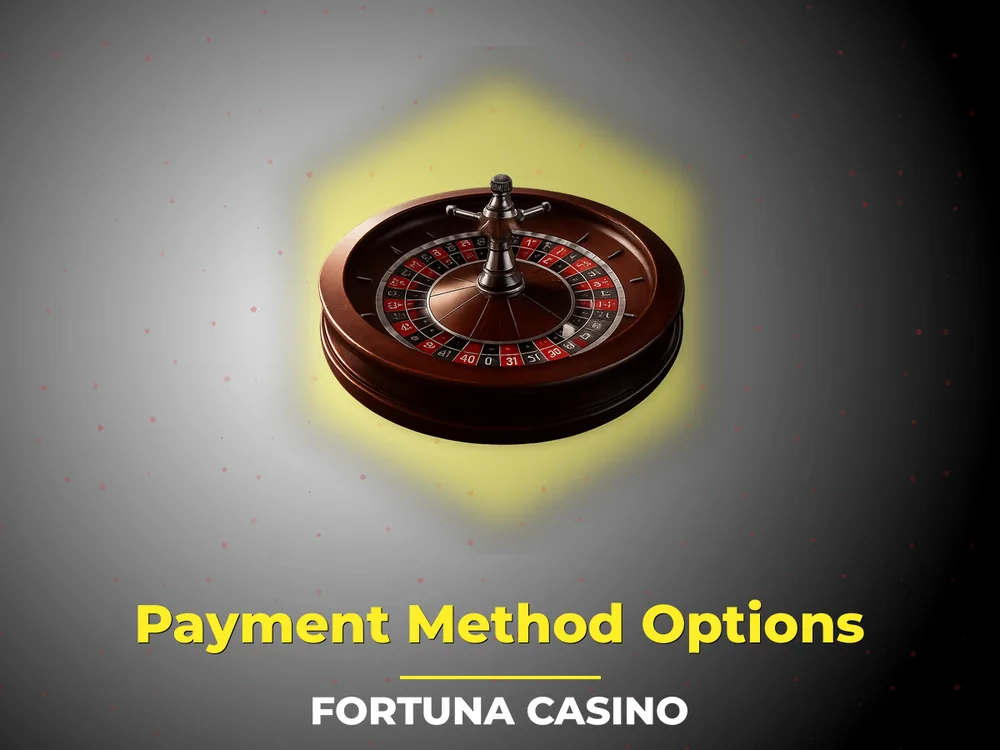 fortuna casino - Payment Method Options